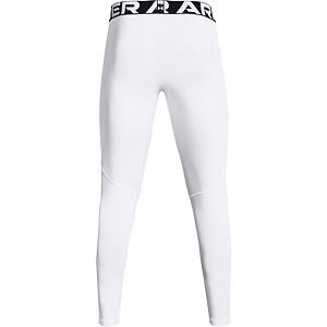 Pánské zimní kompresní legíny Under Armour Armour Leggings