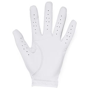 Pánská golfová rukavice Under Armour Iso-Chill Golf Glove